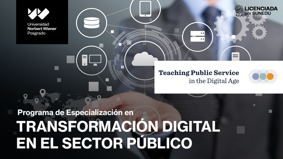 Digital Transformation in the Public Sector Programme